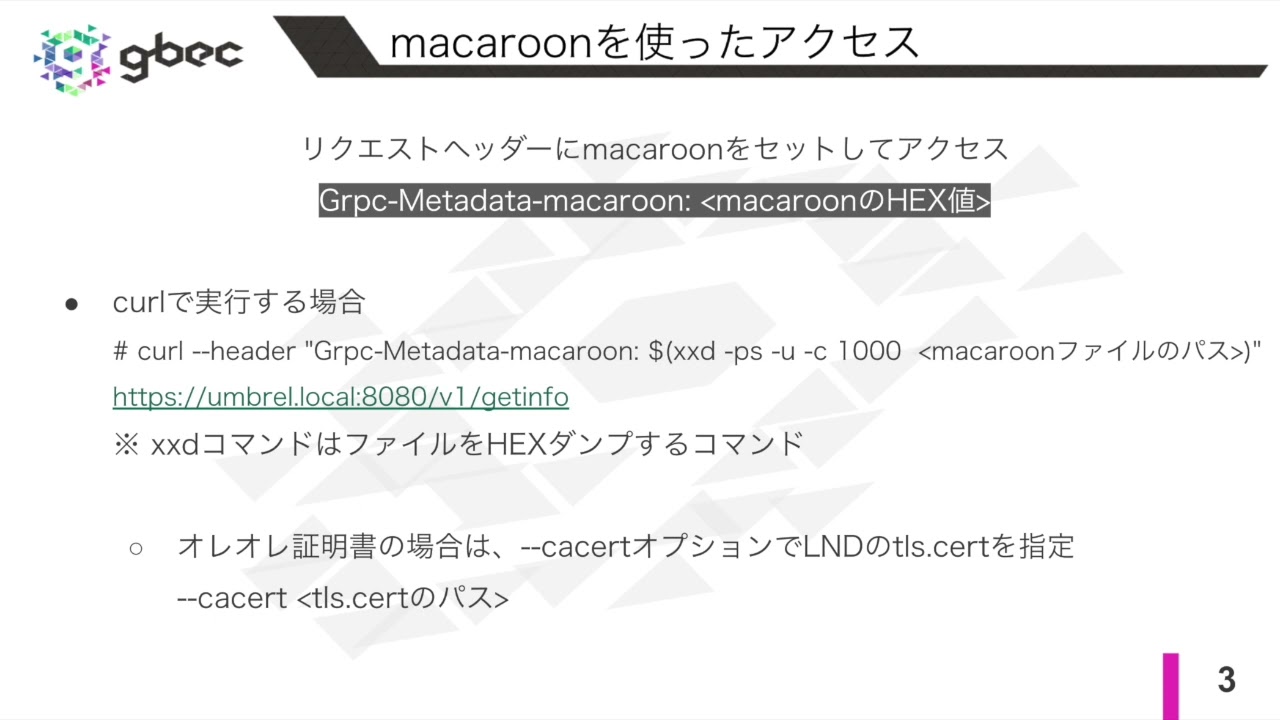 【動画で学ぶブロックチェーン】LNDのgRPC/RESTインターフェース