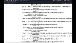 【動画で学ぶブロックチェーン】RailsでBitcoin faucet を作成  深田涼太氏