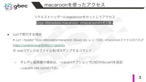 【動画で学ぶブロックチェーン】LNDのgRPC/RESTインターフェース